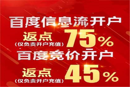 SEM托管公司案例分析：实战技巧全解析